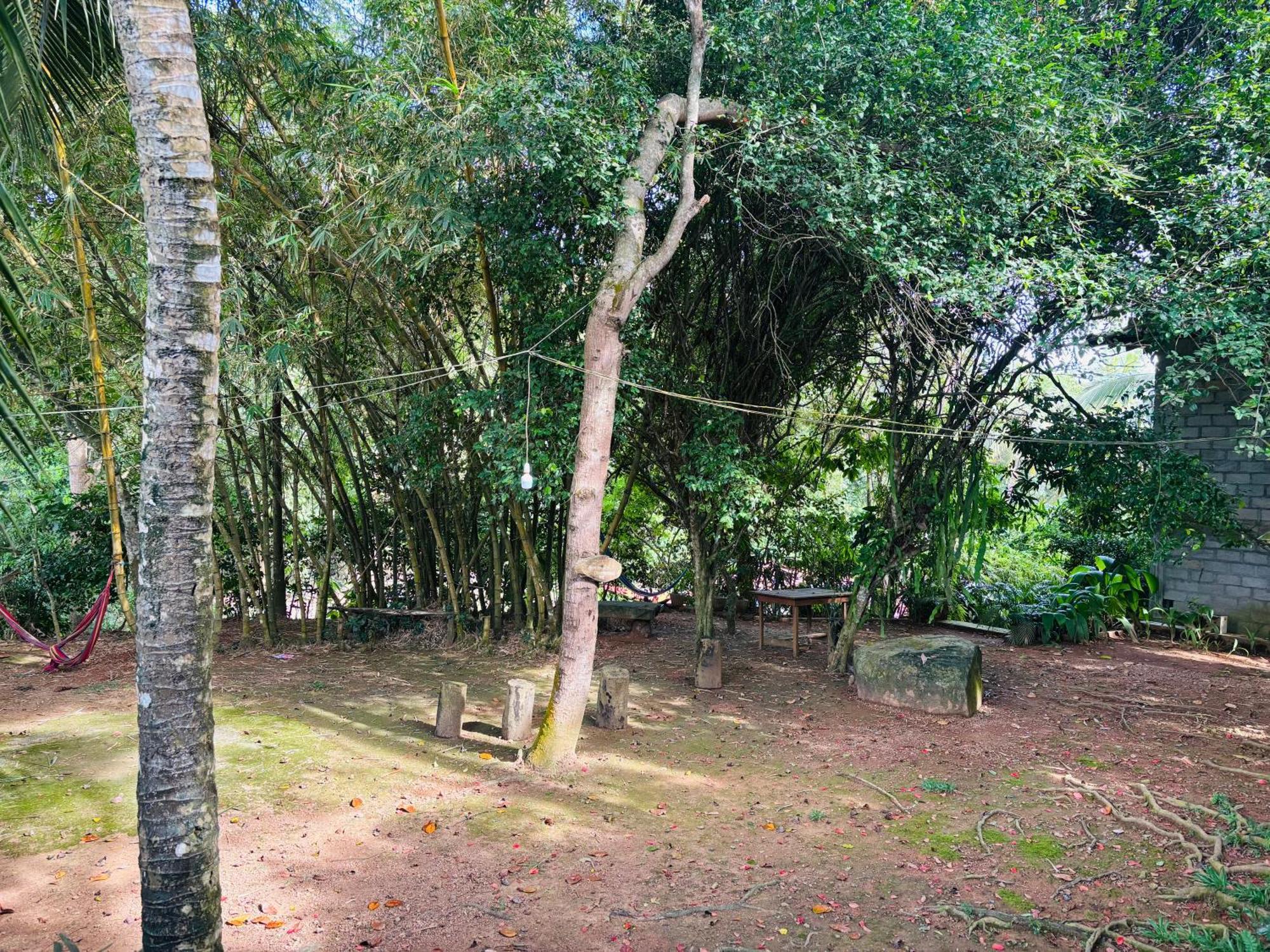 Hotel Eco Garden Hiriketiya Dikwella Exterior foto