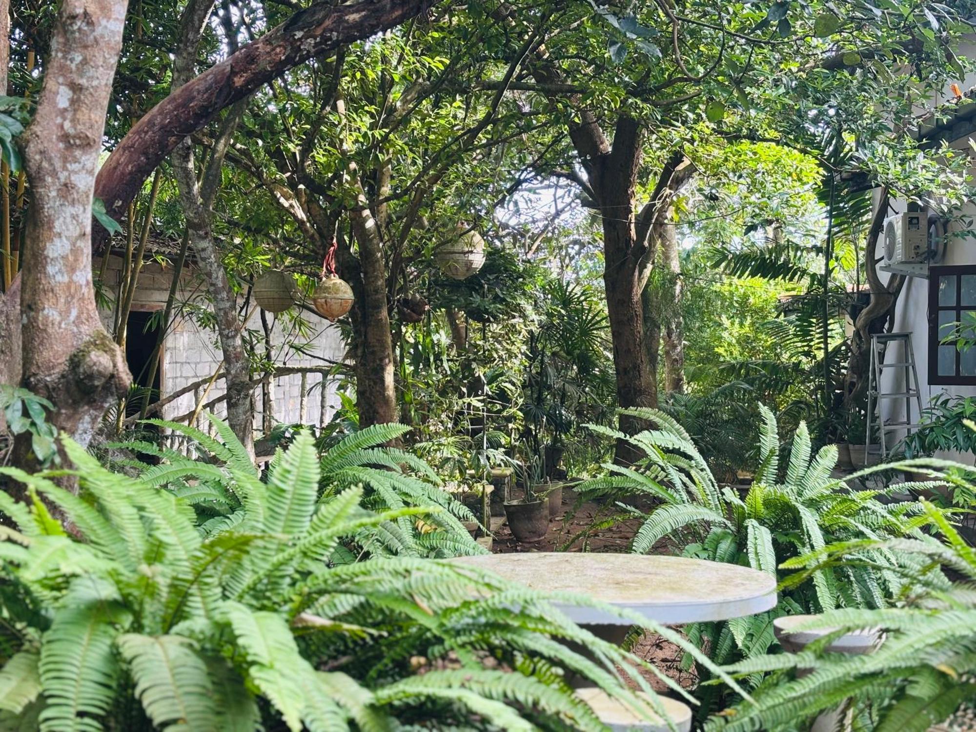 Hotel Eco Garden Hiriketiya Dikwella Exterior foto