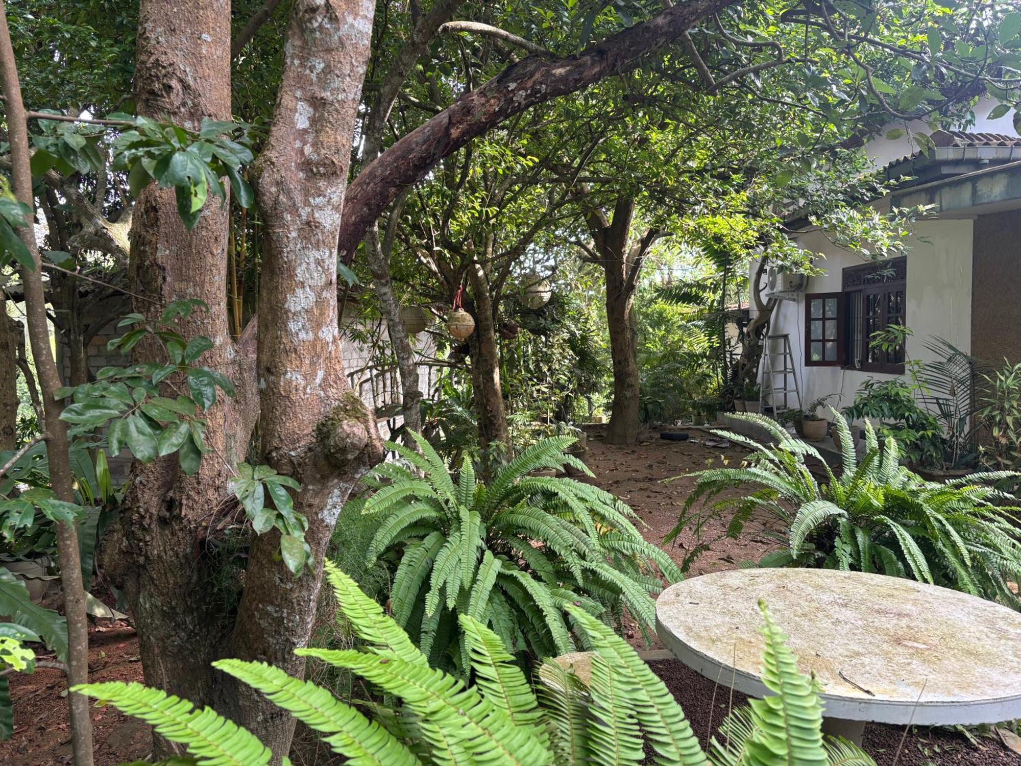 Hotel Eco Garden Hiriketiya Dikwella Exterior foto