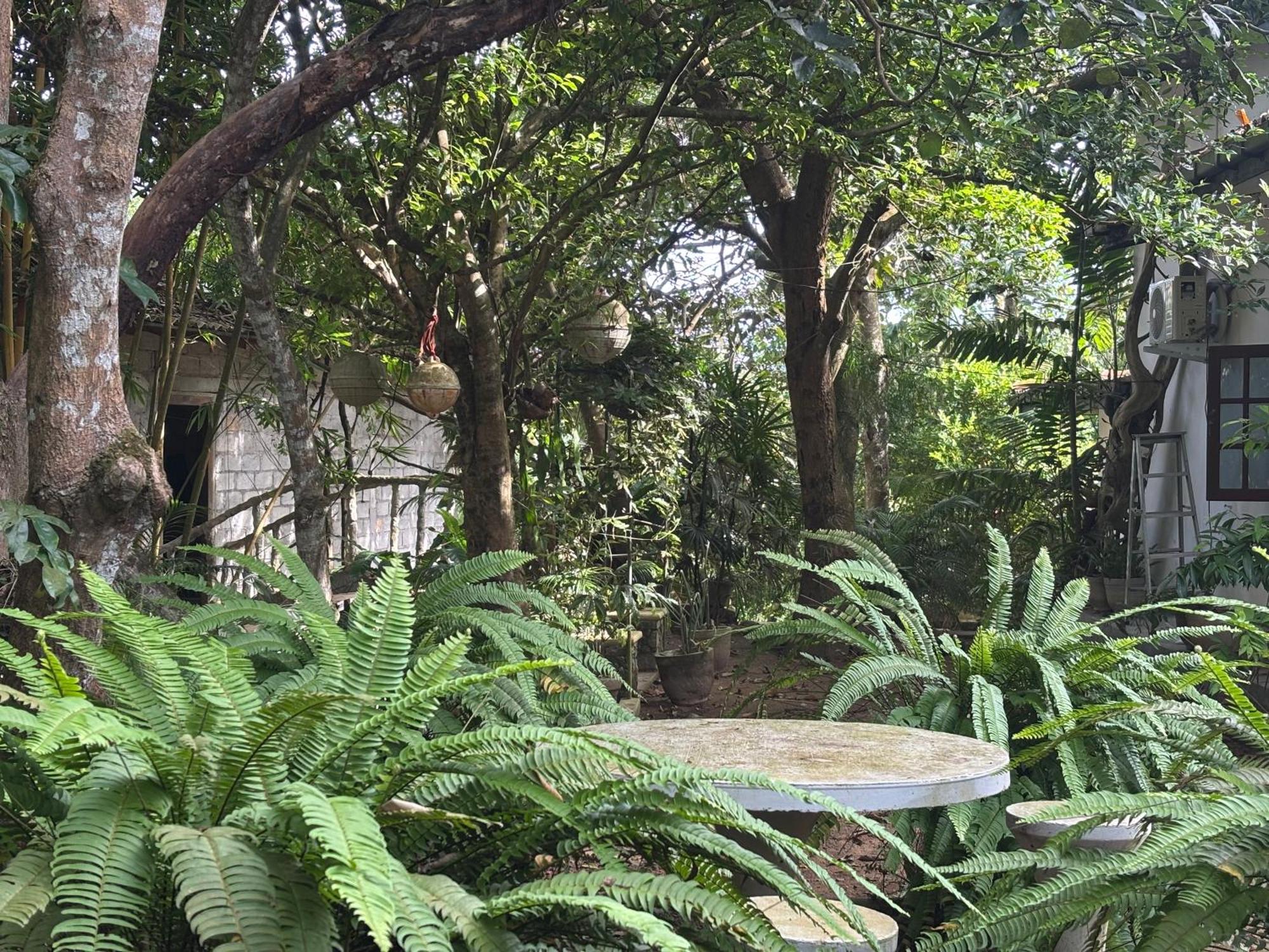 Hotel Eco Garden Hiriketiya Dikwella Exterior foto