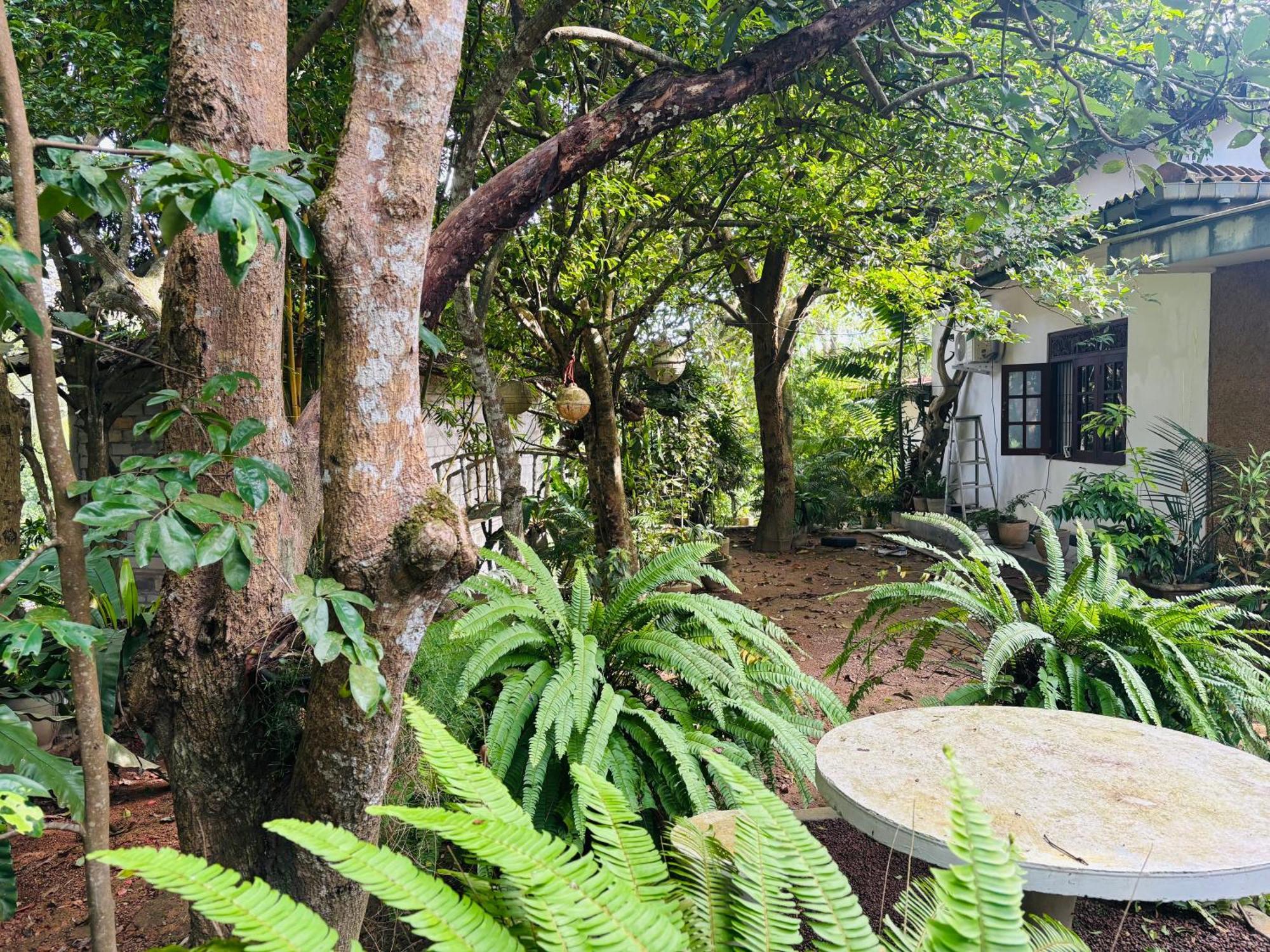 Hotel Eco Garden Hiriketiya Dikwella Exterior foto