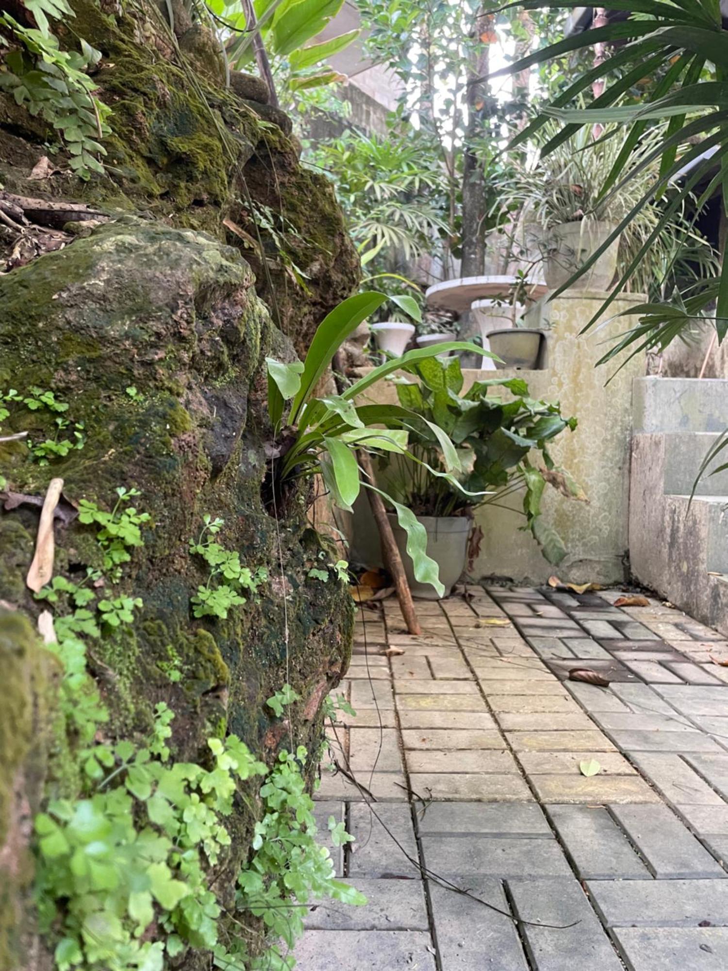 Hotel Eco Garden Hiriketiya Dikwella Exterior foto