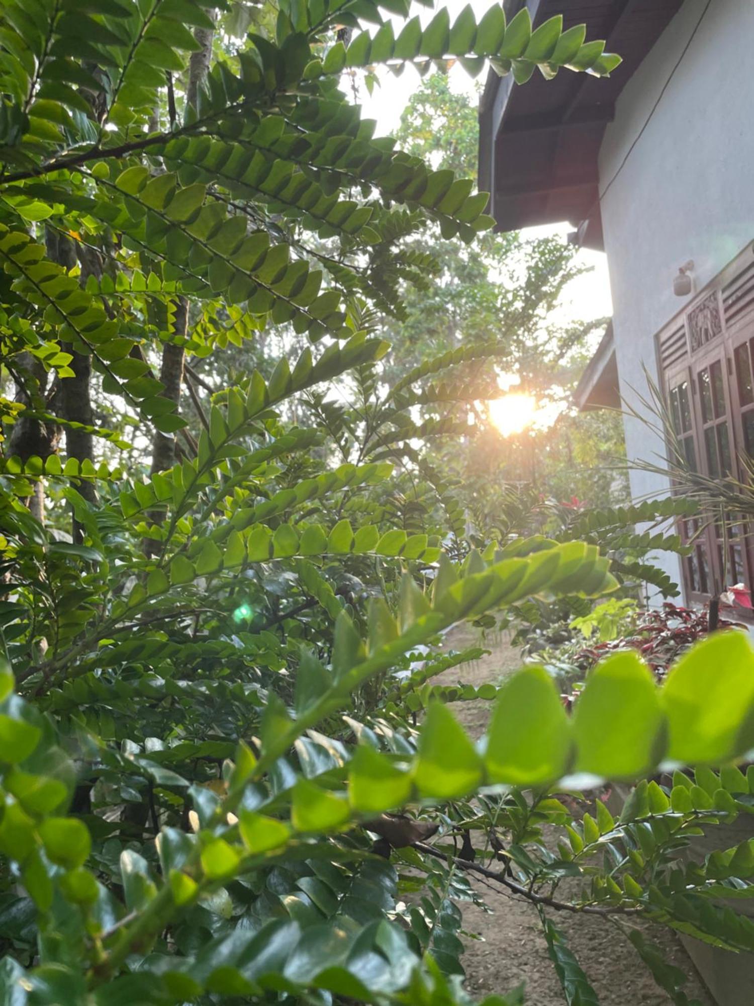 Hotel Eco Garden Hiriketiya Dikwella Exterior foto