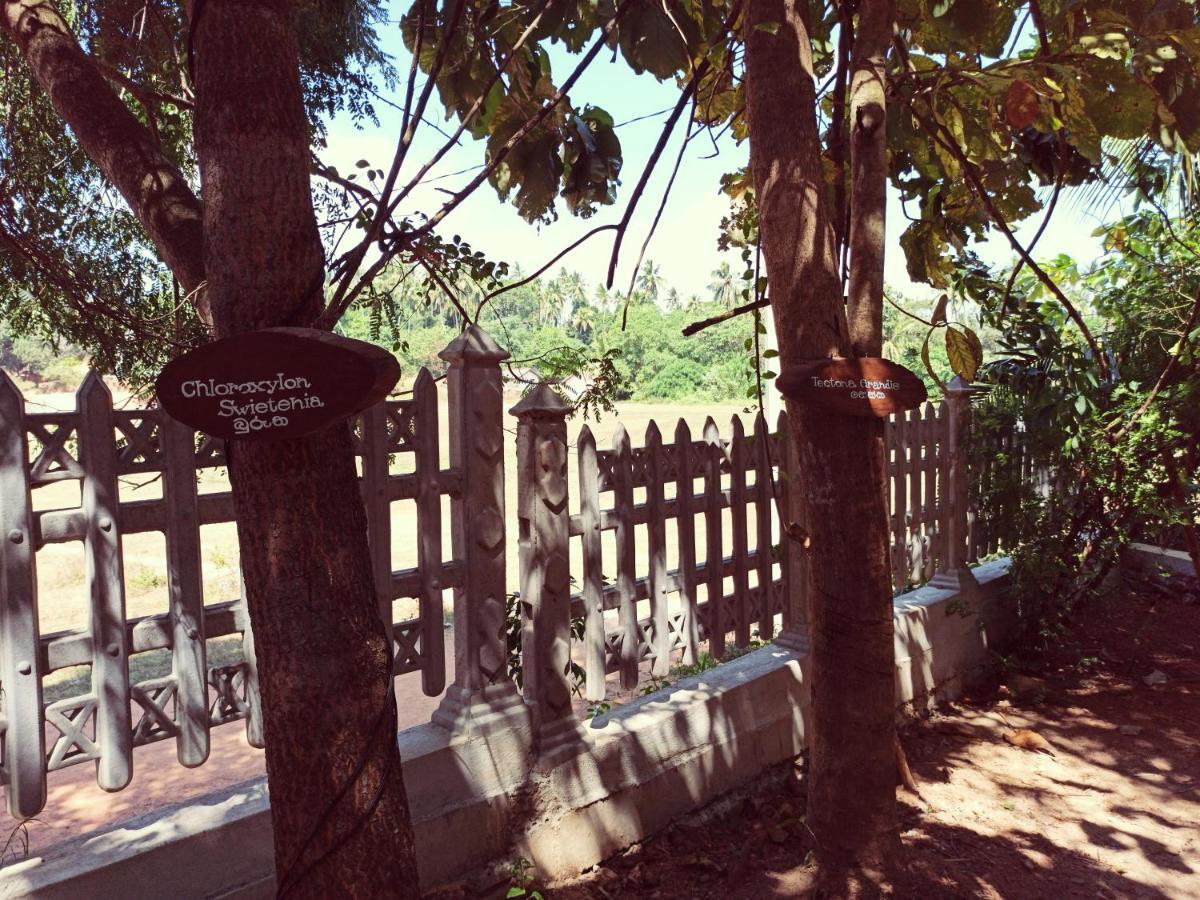 Hotel Eco Garden Hiriketiya Dikwella Exterior foto